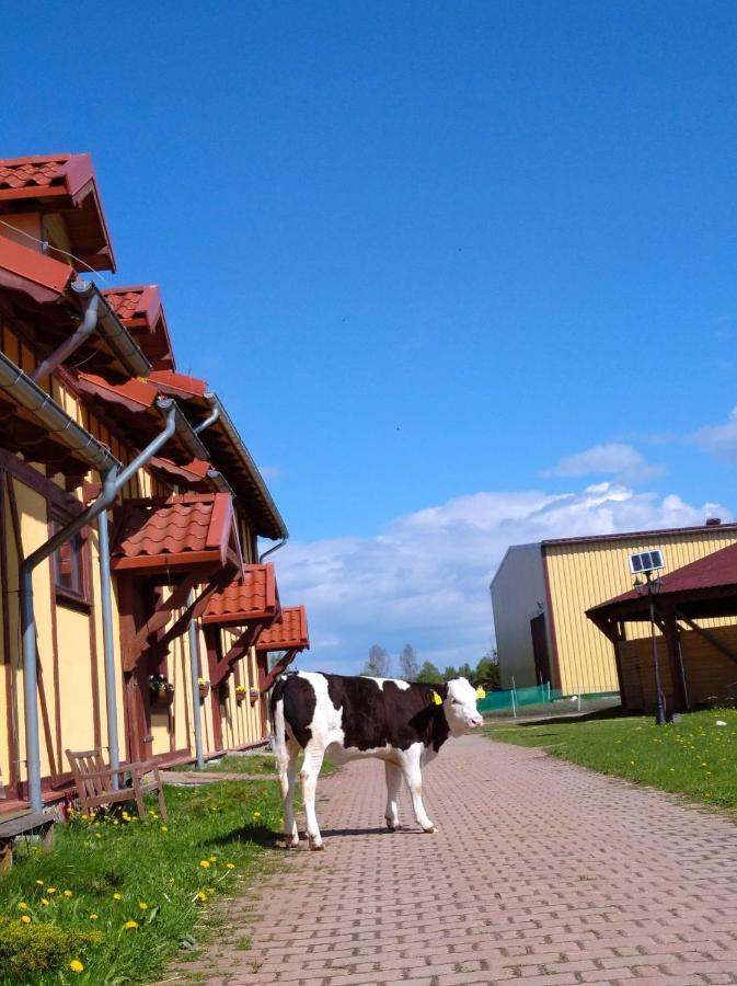 Pensjonat Przy Stajni Kierzkowo  Exteriör bild
