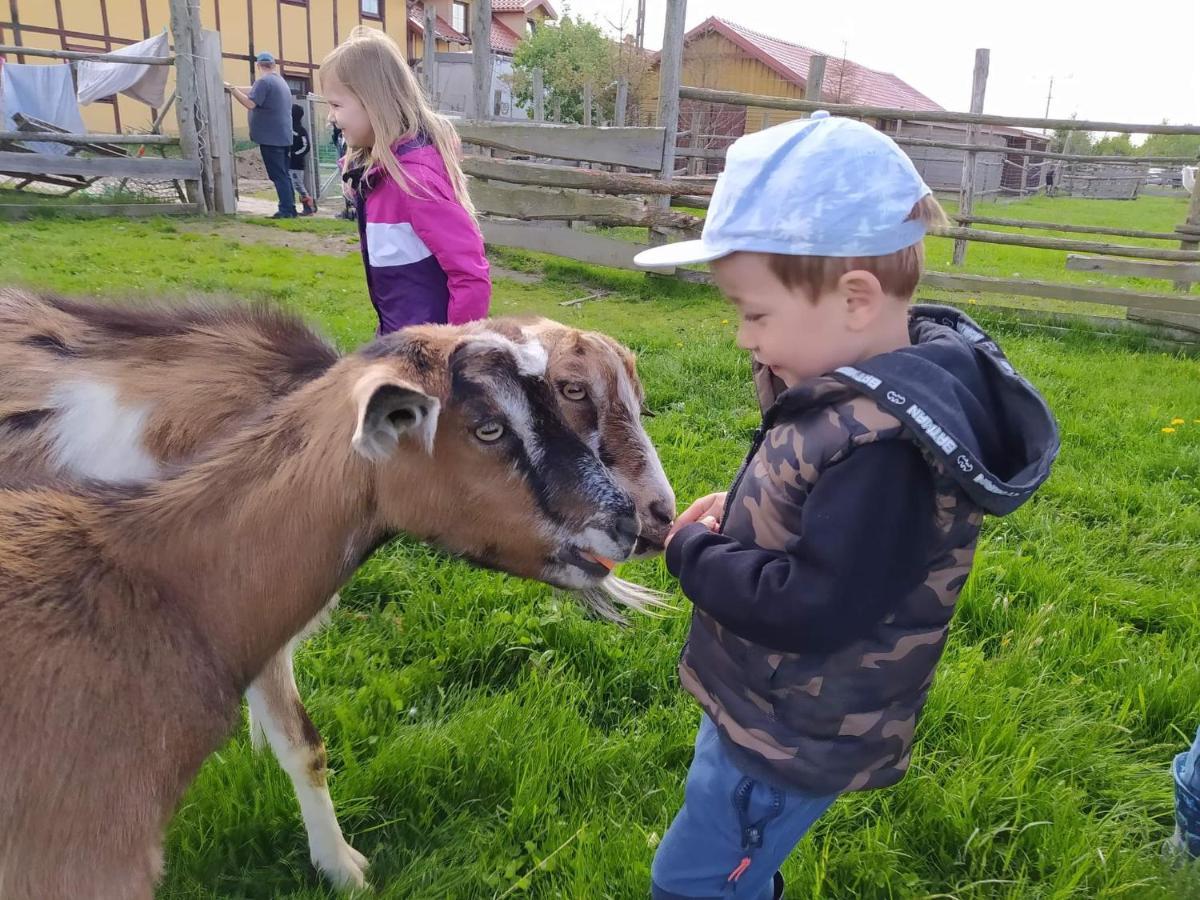 Pensjonat Przy Stajni Kierzkowo  Exteriör bild