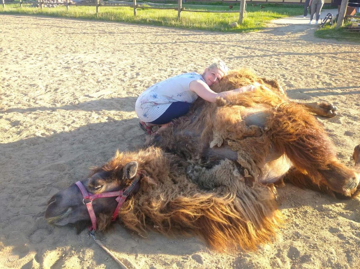 Pensjonat Przy Stajni Kierzkowo  Exteriör bild