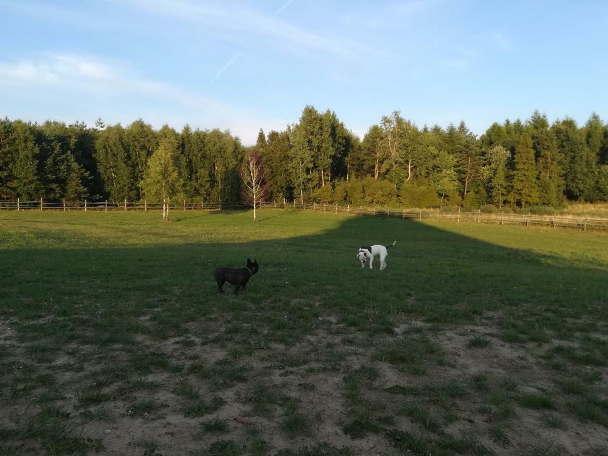 Pensjonat Przy Stajni Kierzkowo  Exteriör bild