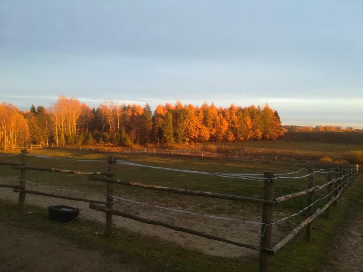 Pensjonat Przy Stajni Kierzkowo  Exteriör bild