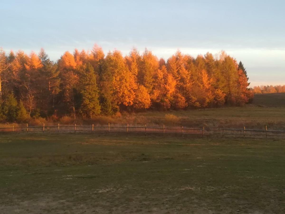 Pensjonat Przy Stajni Kierzkowo  Exteriör bild