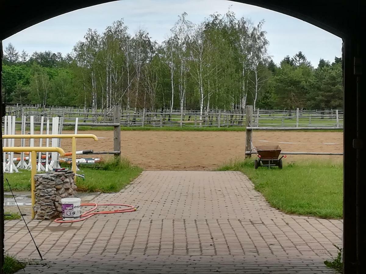 Pensjonat Przy Stajni Kierzkowo  Exteriör bild
